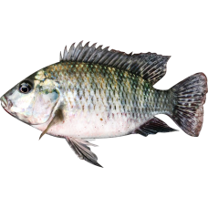 調味魚片